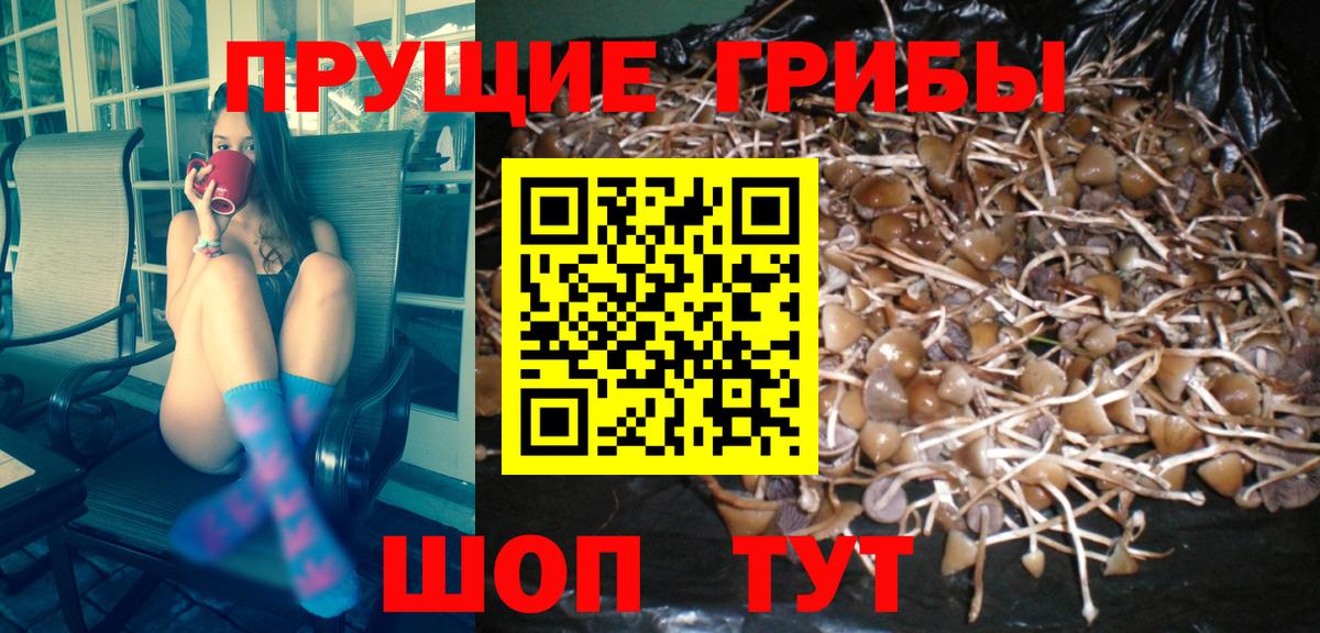 Галлюциногенные грибы мицелий Южноуральск